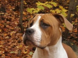 molly_20211128_1766012671